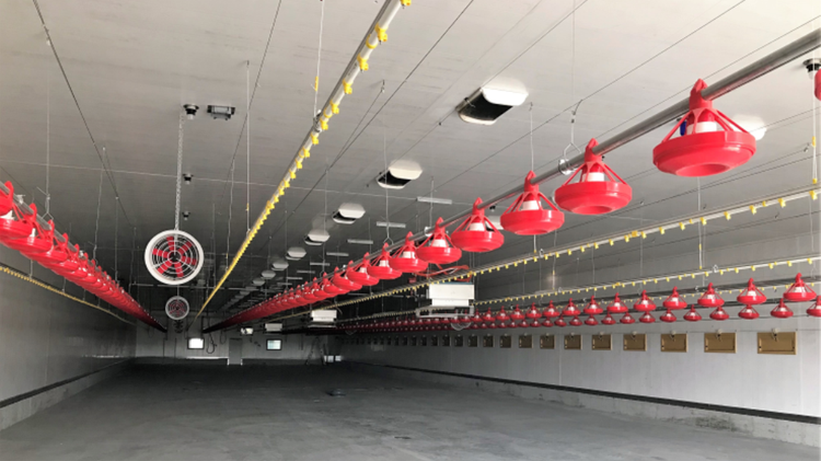 The 4 FTG800 installed and commissioned